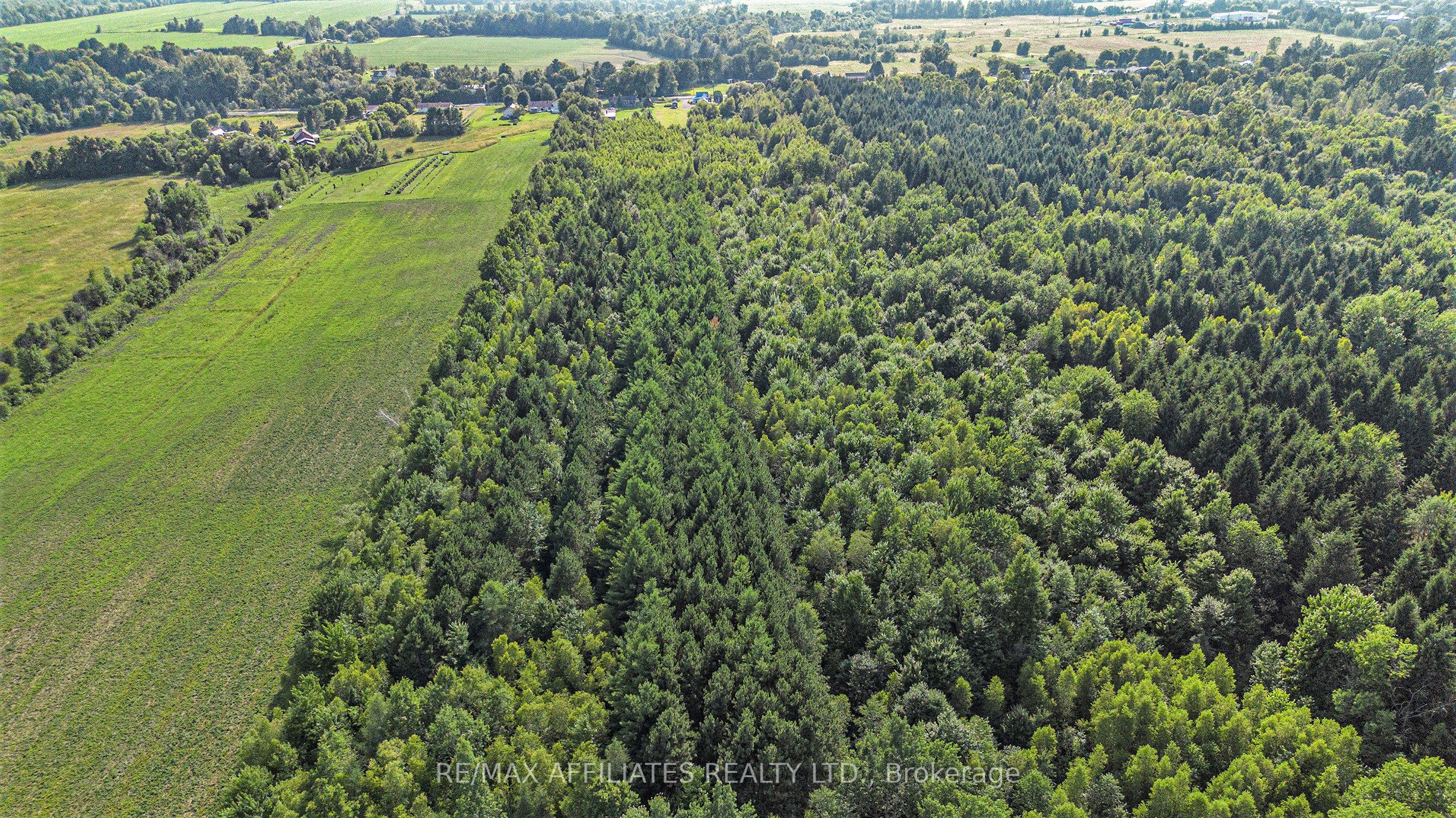 3971 Champlain Street Property Photo 24