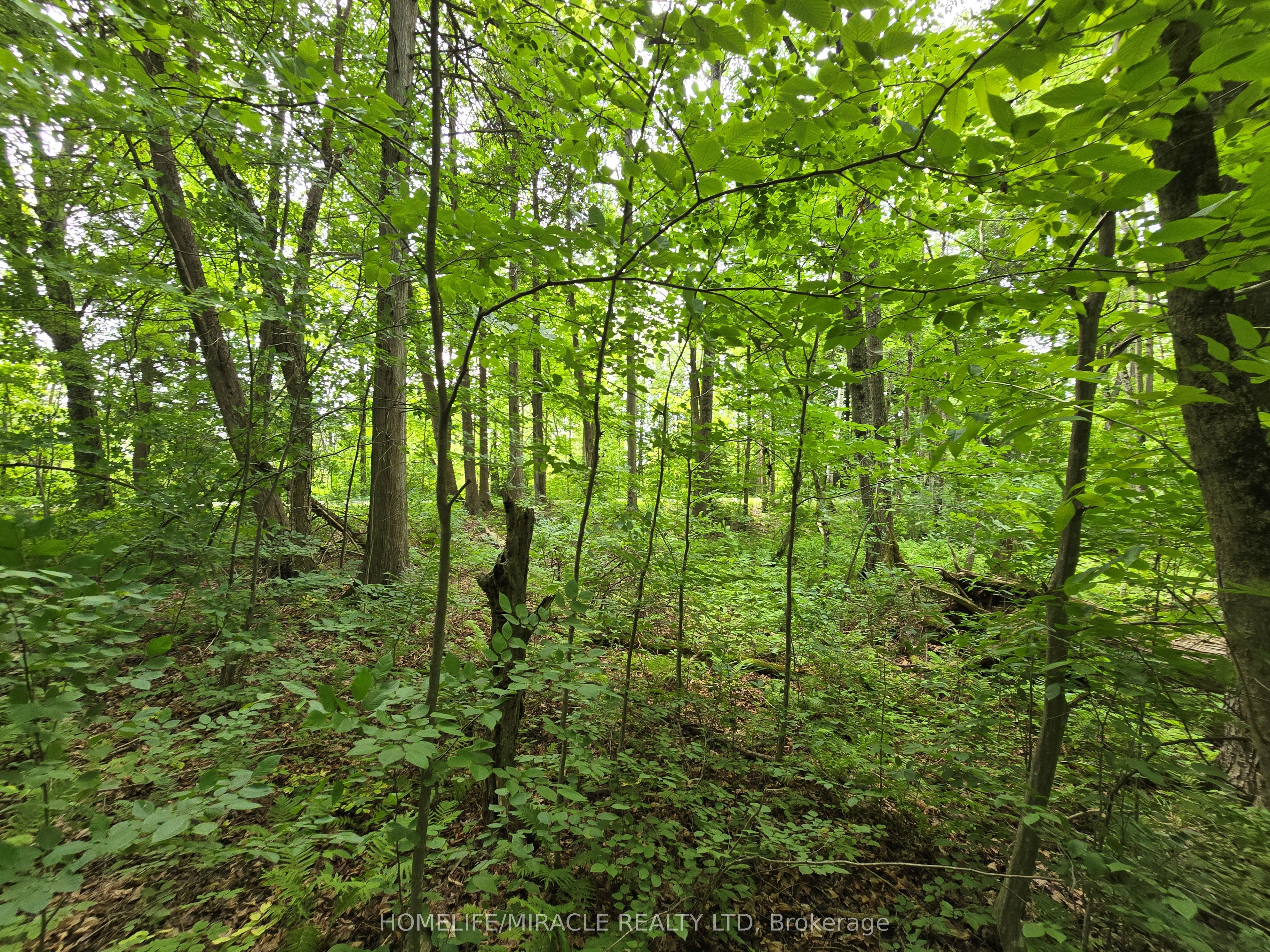 000 Cedar Sands Road Property Photo 1