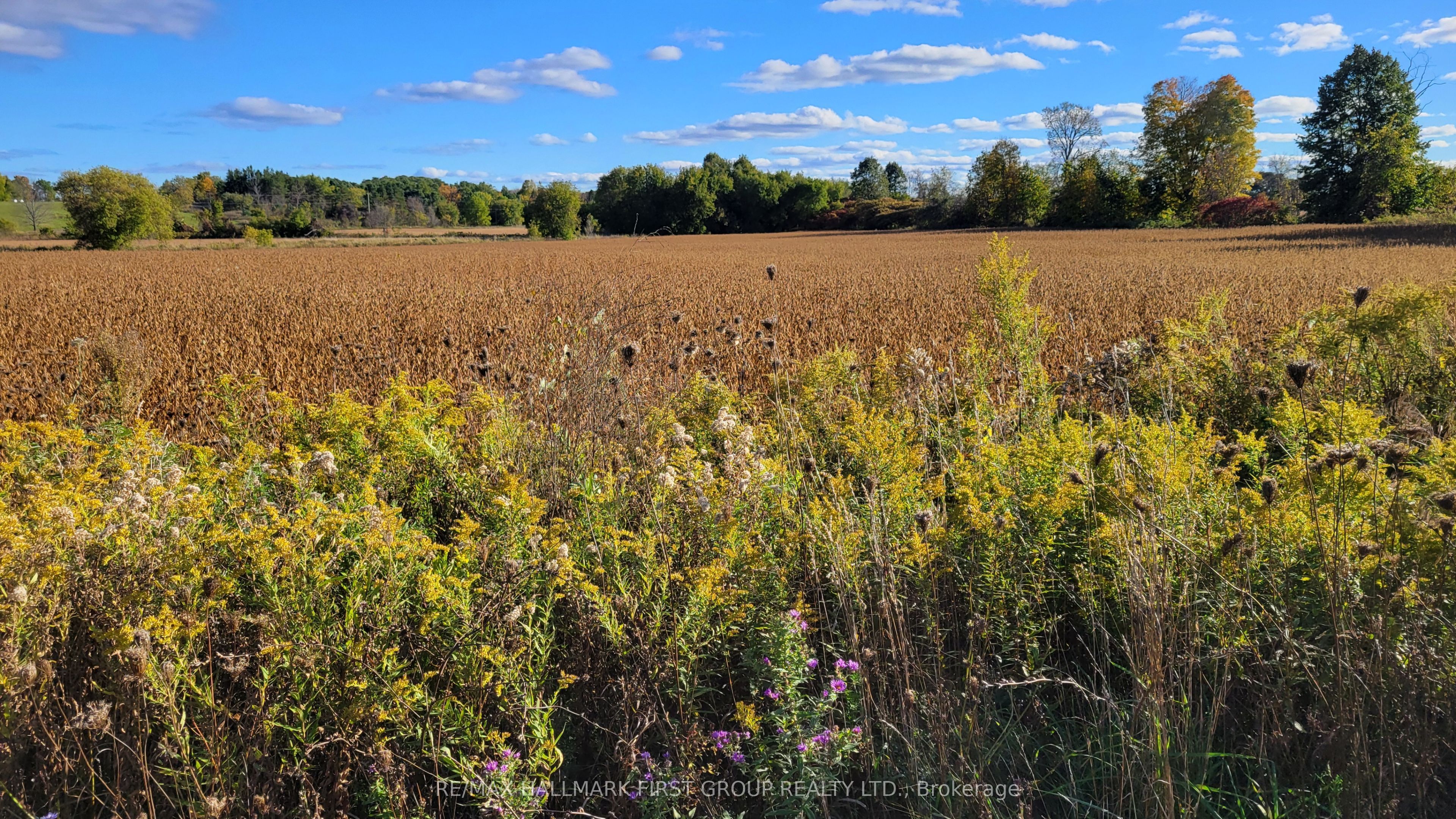 Part 3 Highway 7 N/a Property Photo 3