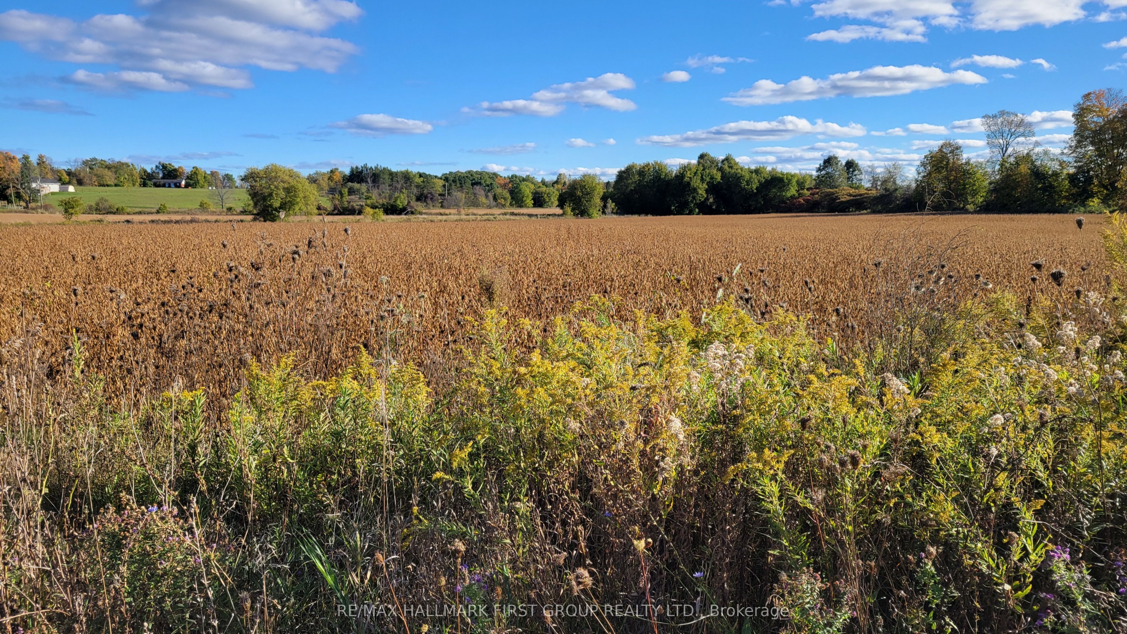 Part 3 Highway 7 N/a Property Photo 4