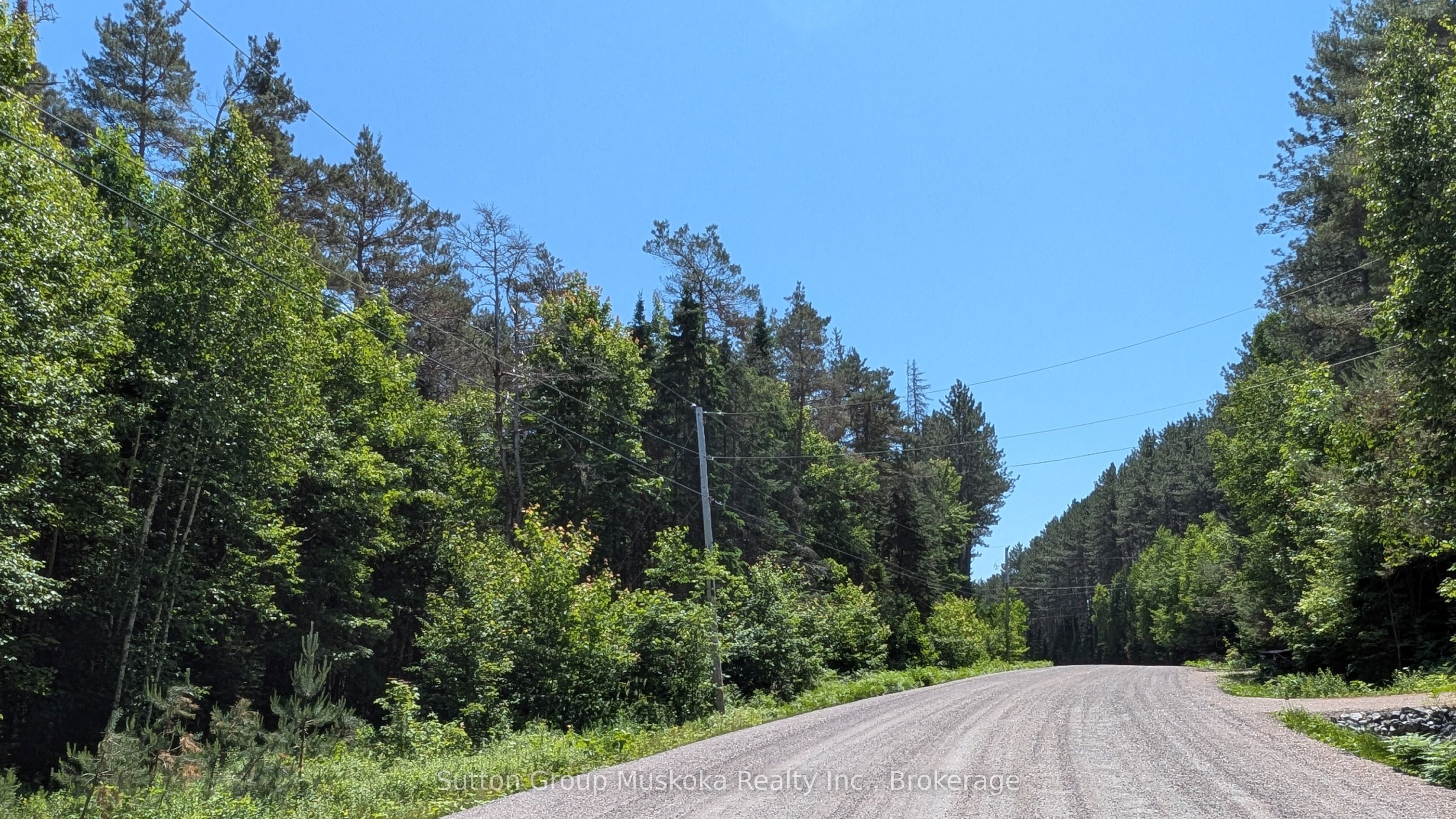 Lot 1 Red Pine Trail Property Photo 1