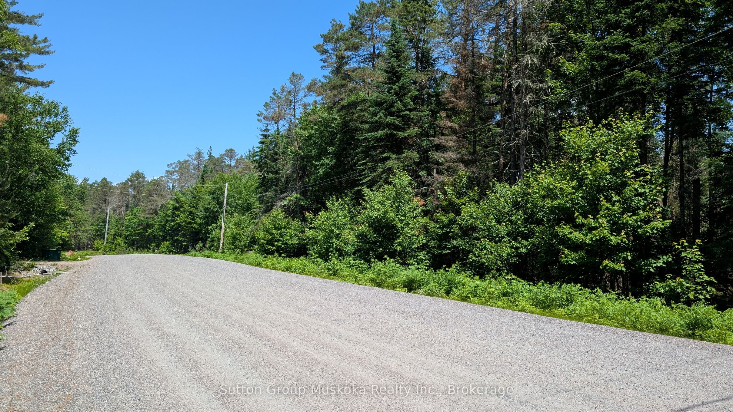 Lot 1 Red Pine Trail Property Photo 2
