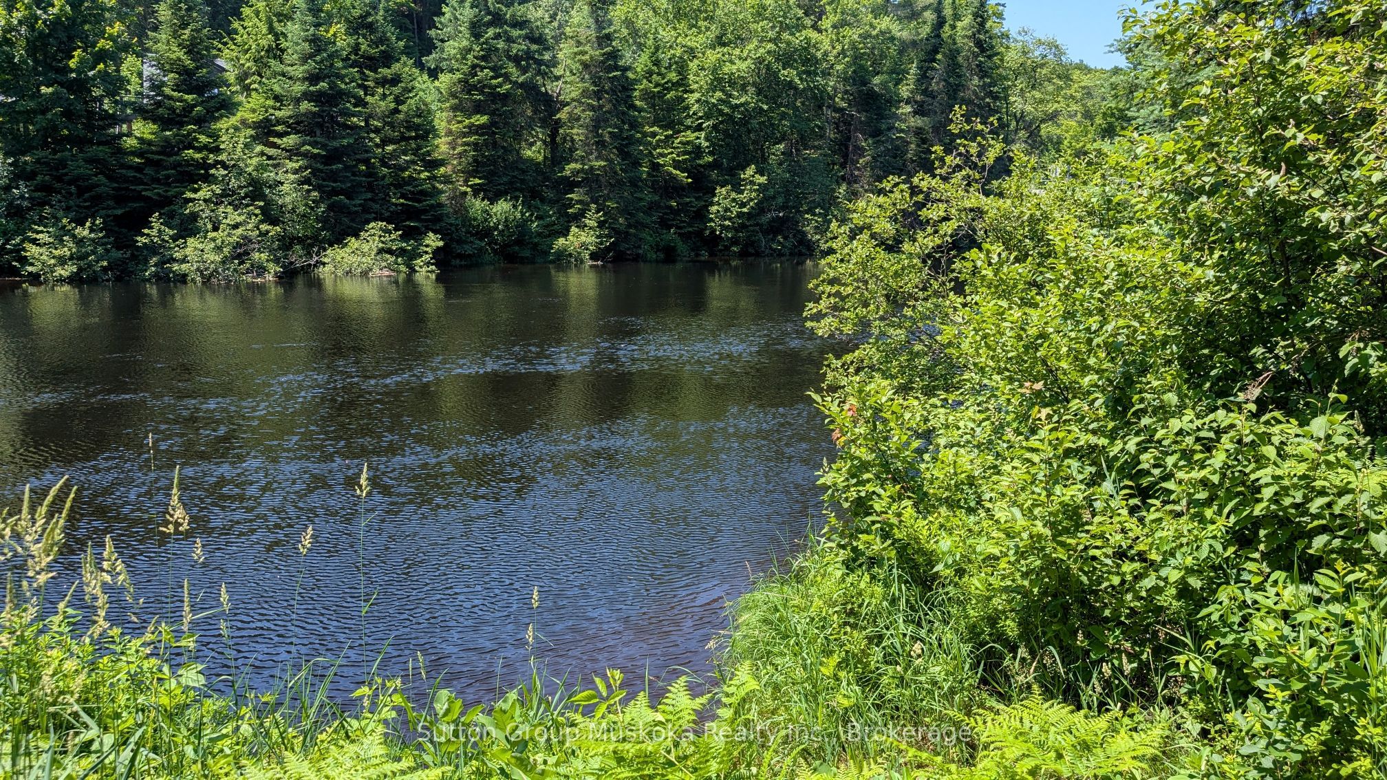 Lot 1 Red Pine Trail Property Photo 4