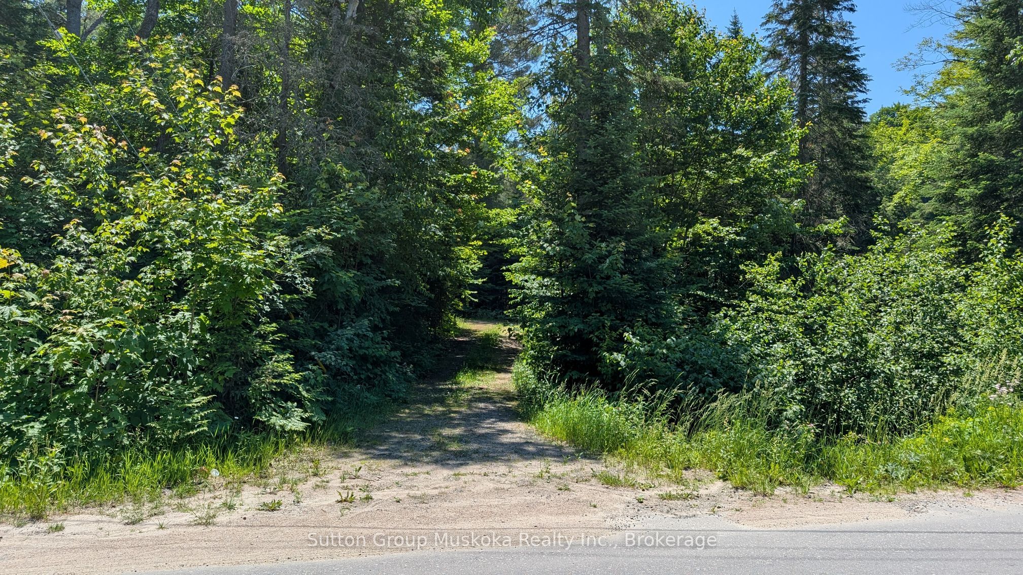 Lot 1 Red Pine Trail Property Photo 6