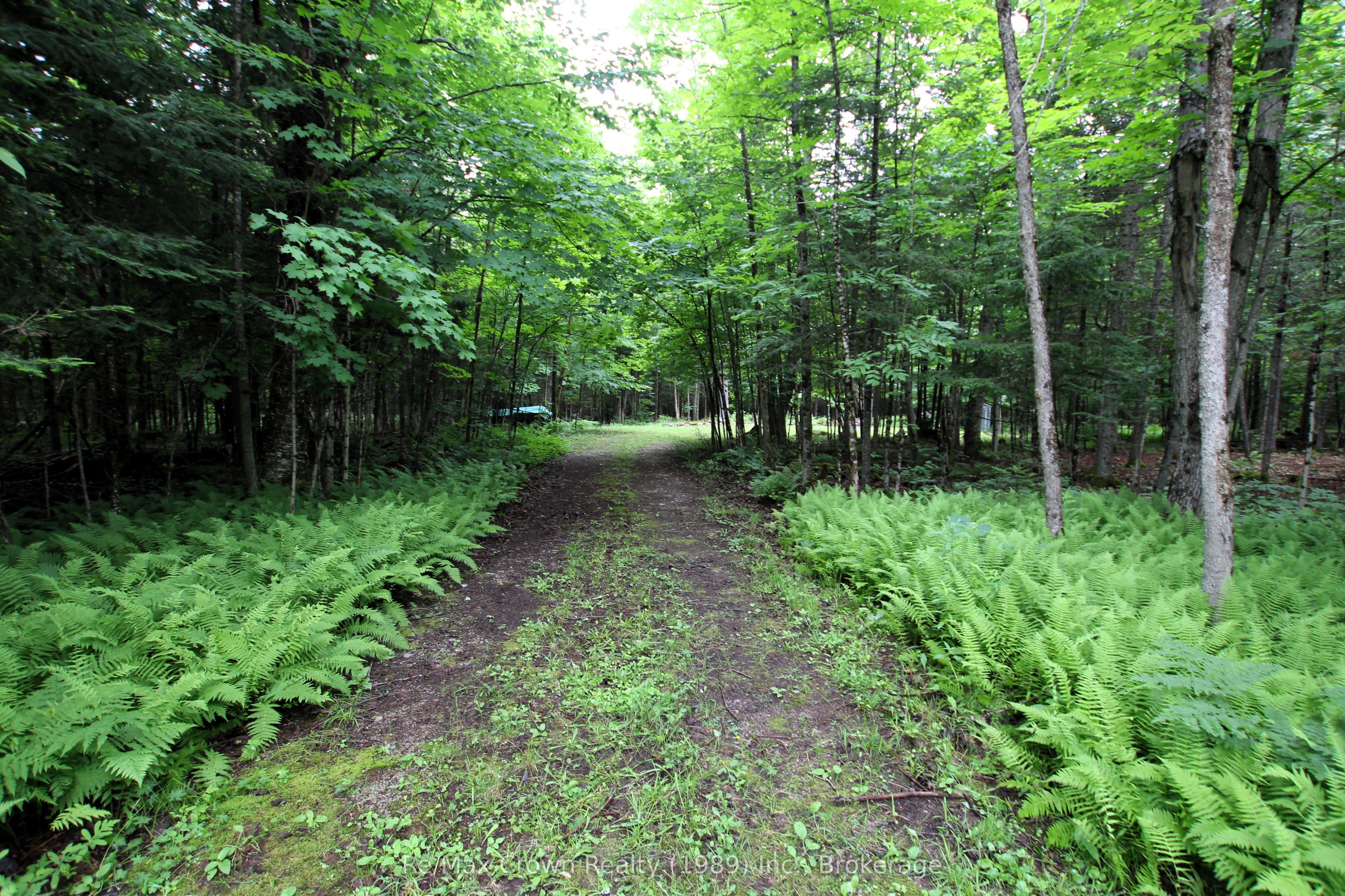 0 Pilgers Road Property Photo 1