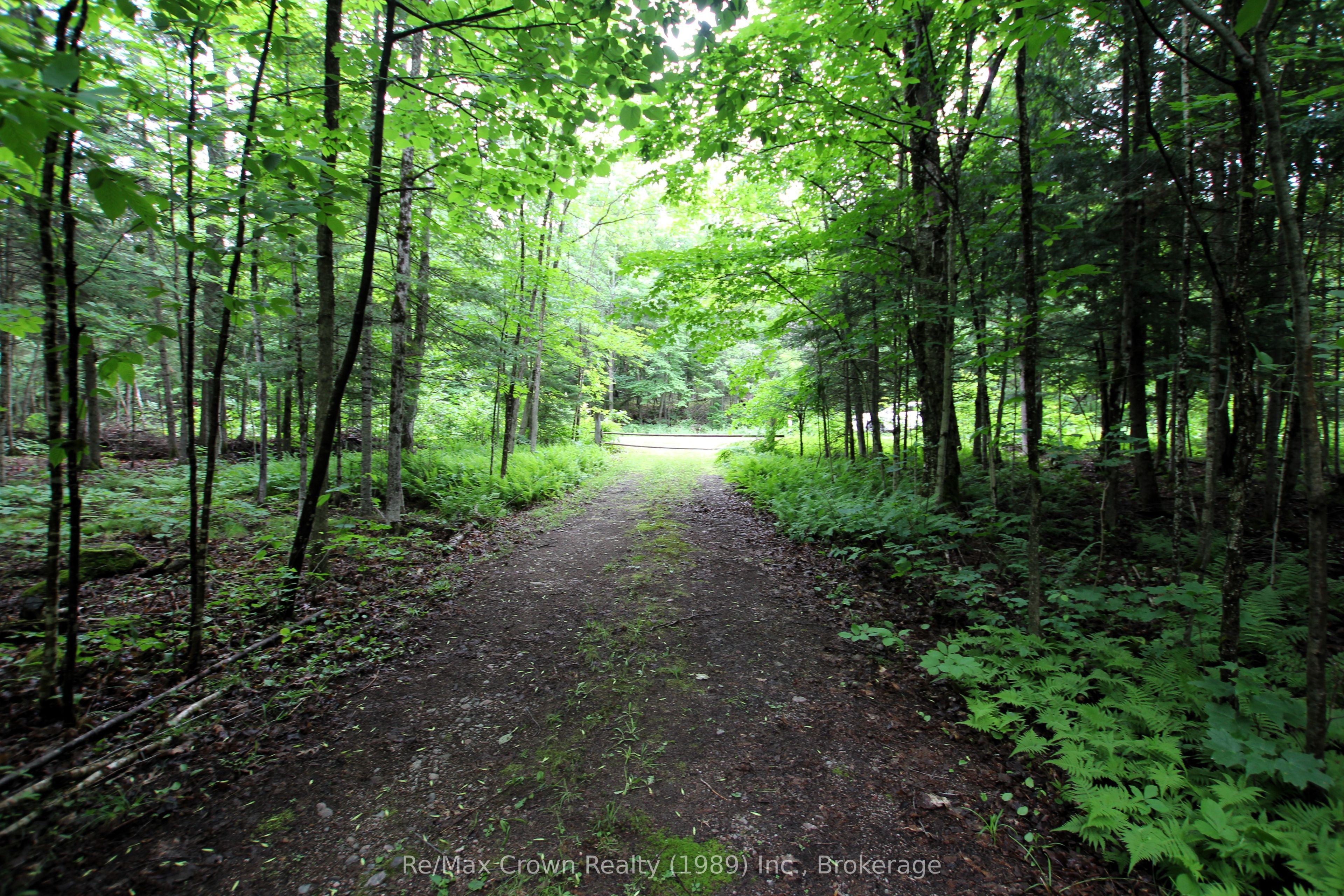 0 Pilgers Road Property Photo 6