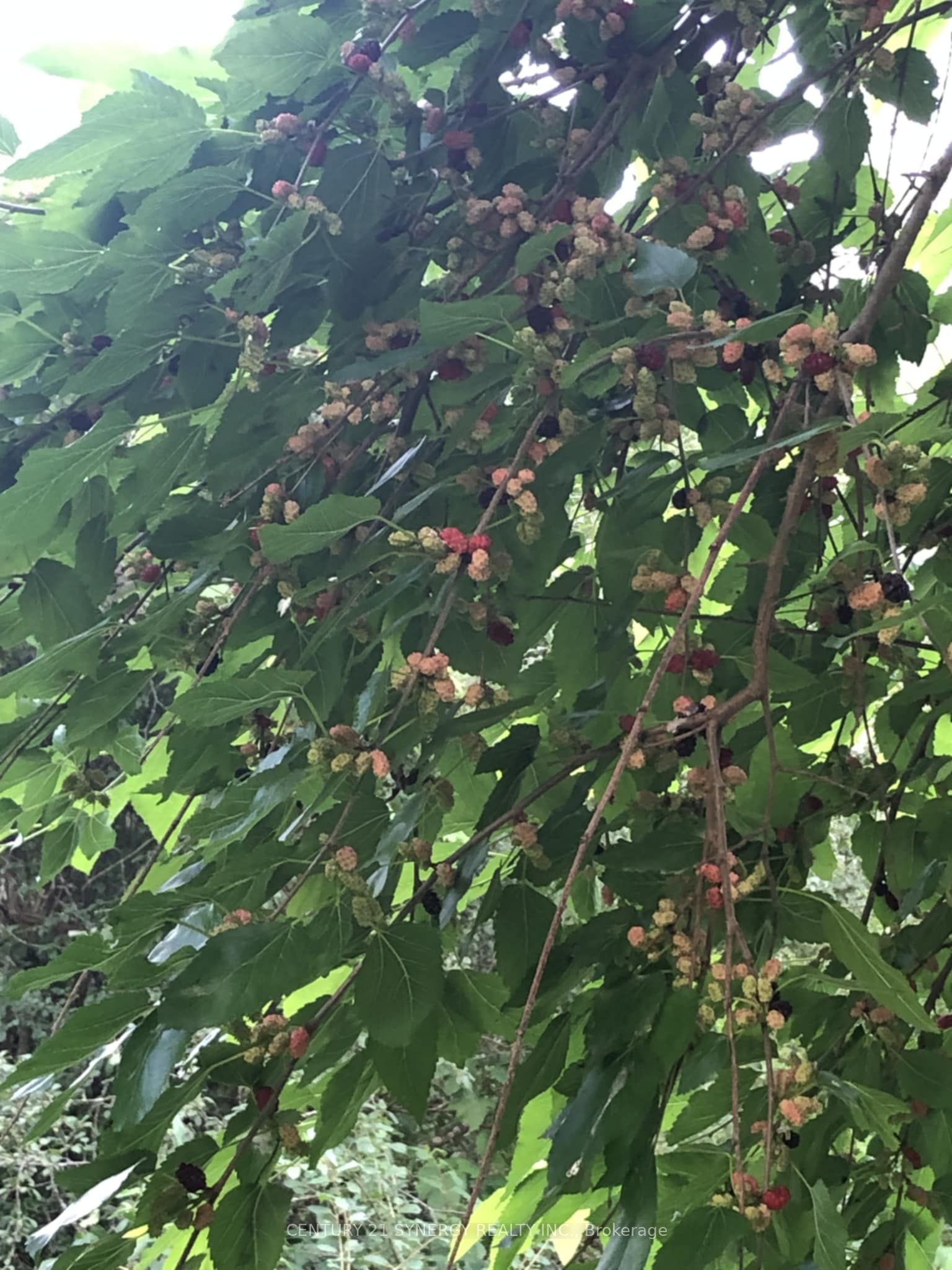 146 Wolford Ctr Centre Property Photo 41