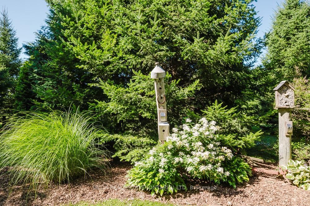 9450 Longwoods Road Property Photo 25