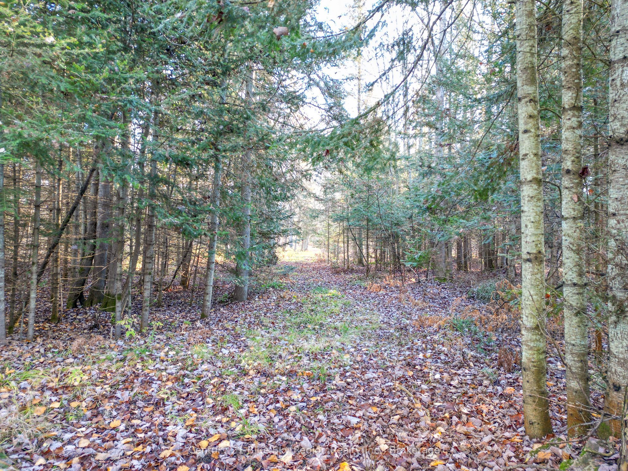 994 Premier Road Property Photo 44