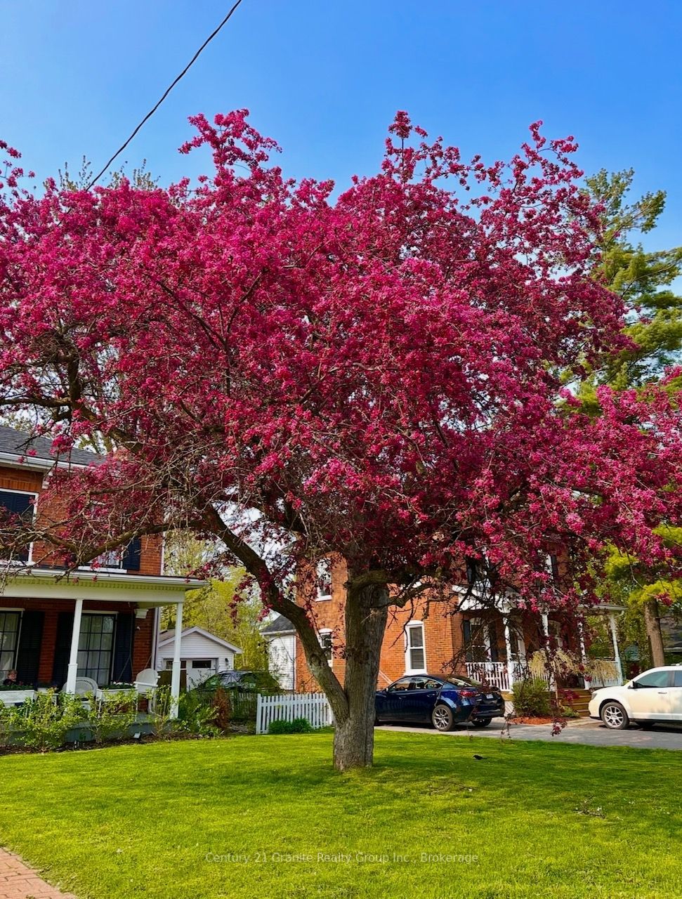 110 Bridge Street W Property Photo 49