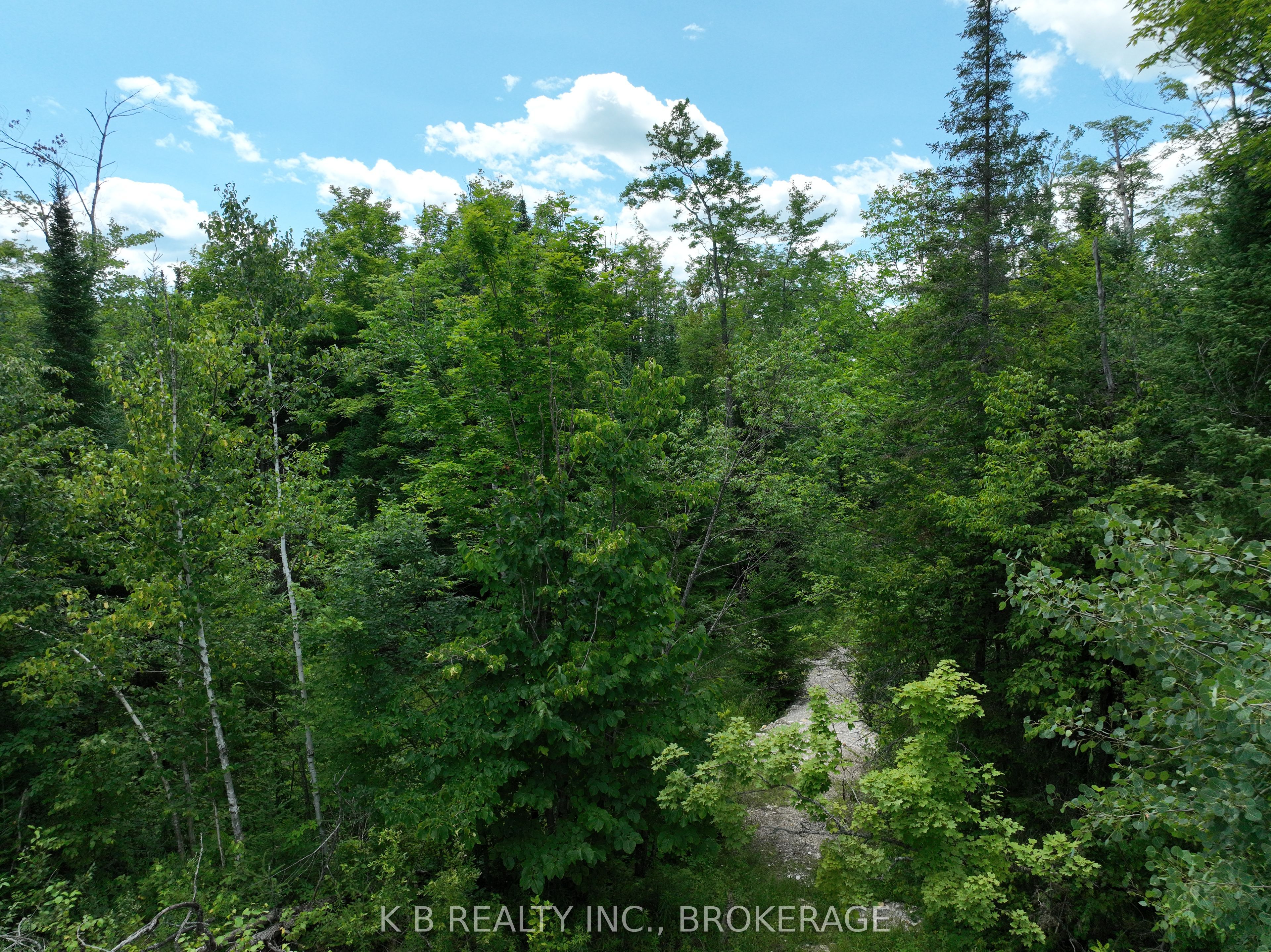 17887 62 Highway Property Photo 24