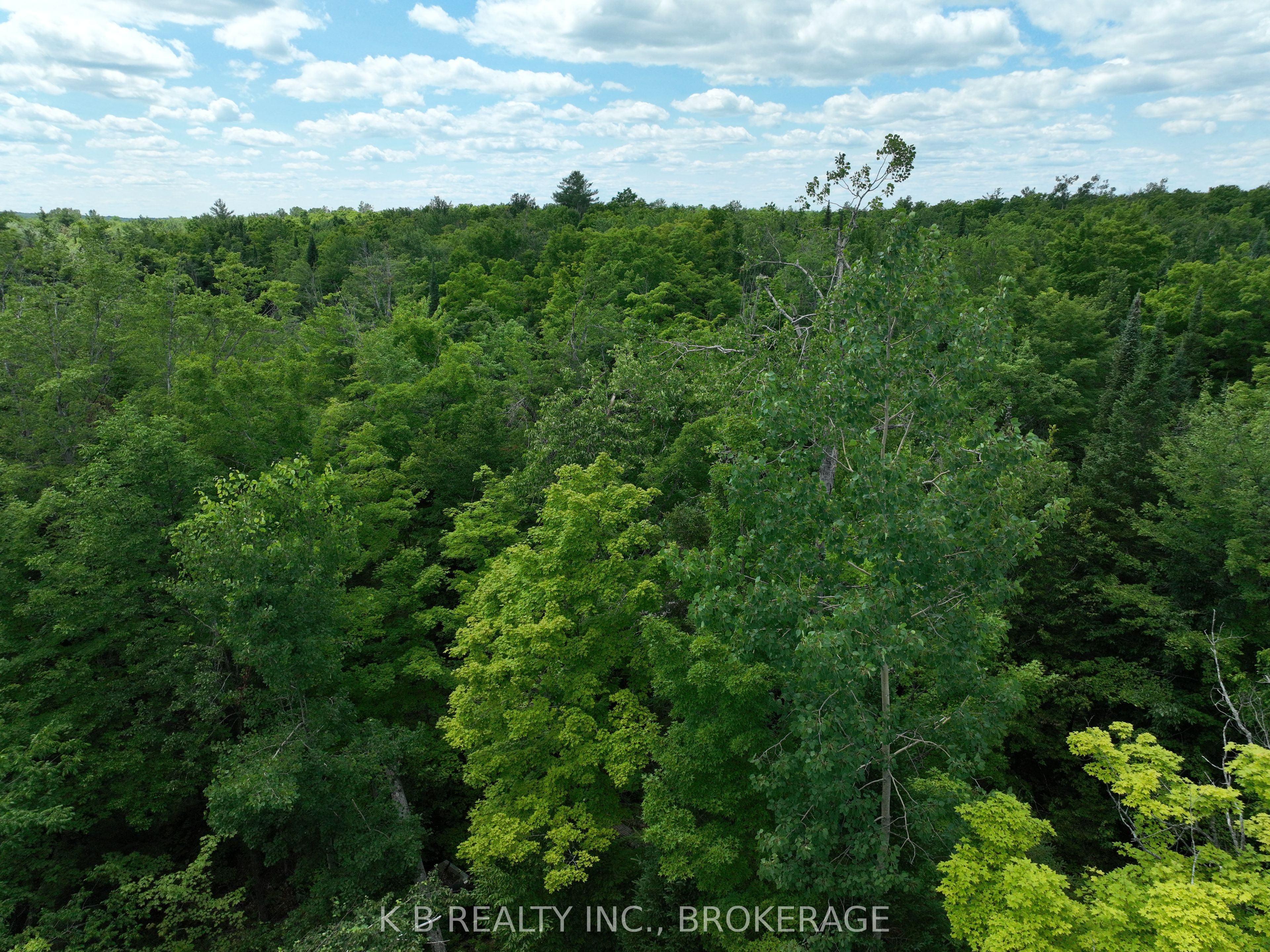 17887 62 Highway Property Photo 25