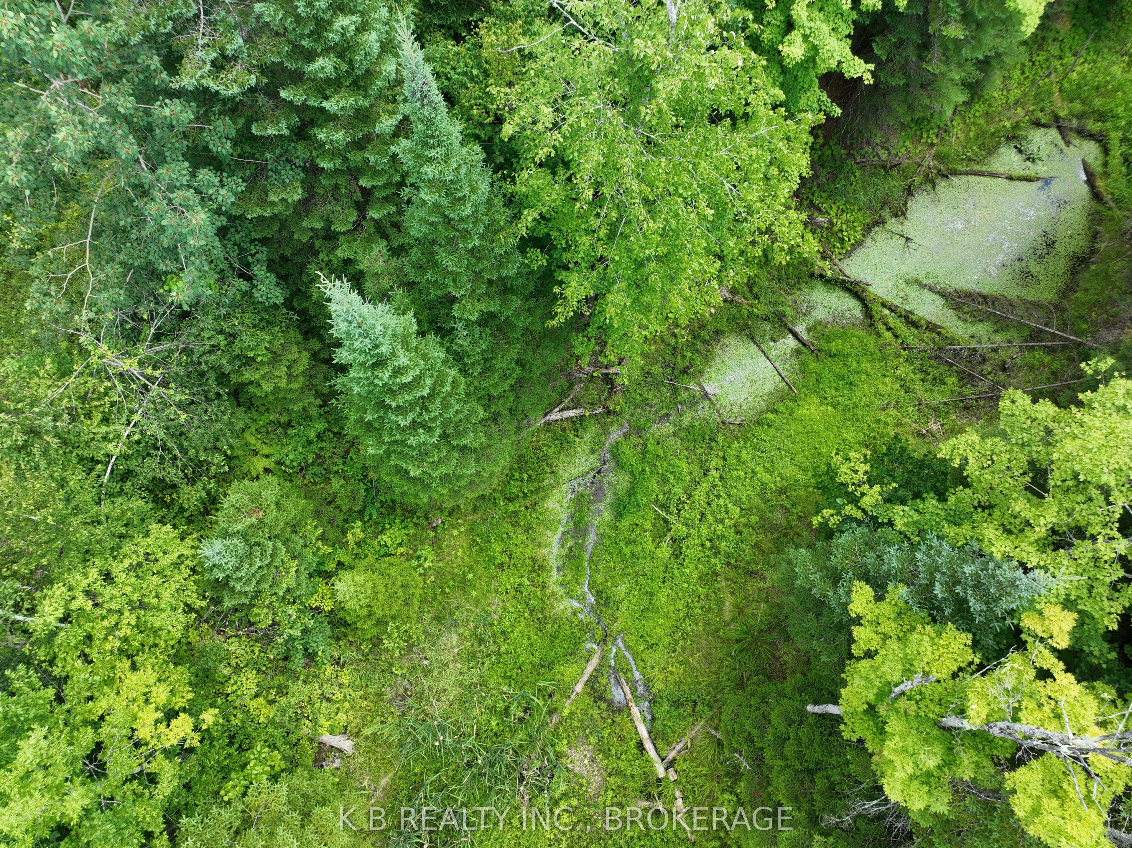 17887 62 Highway Property Photo 26