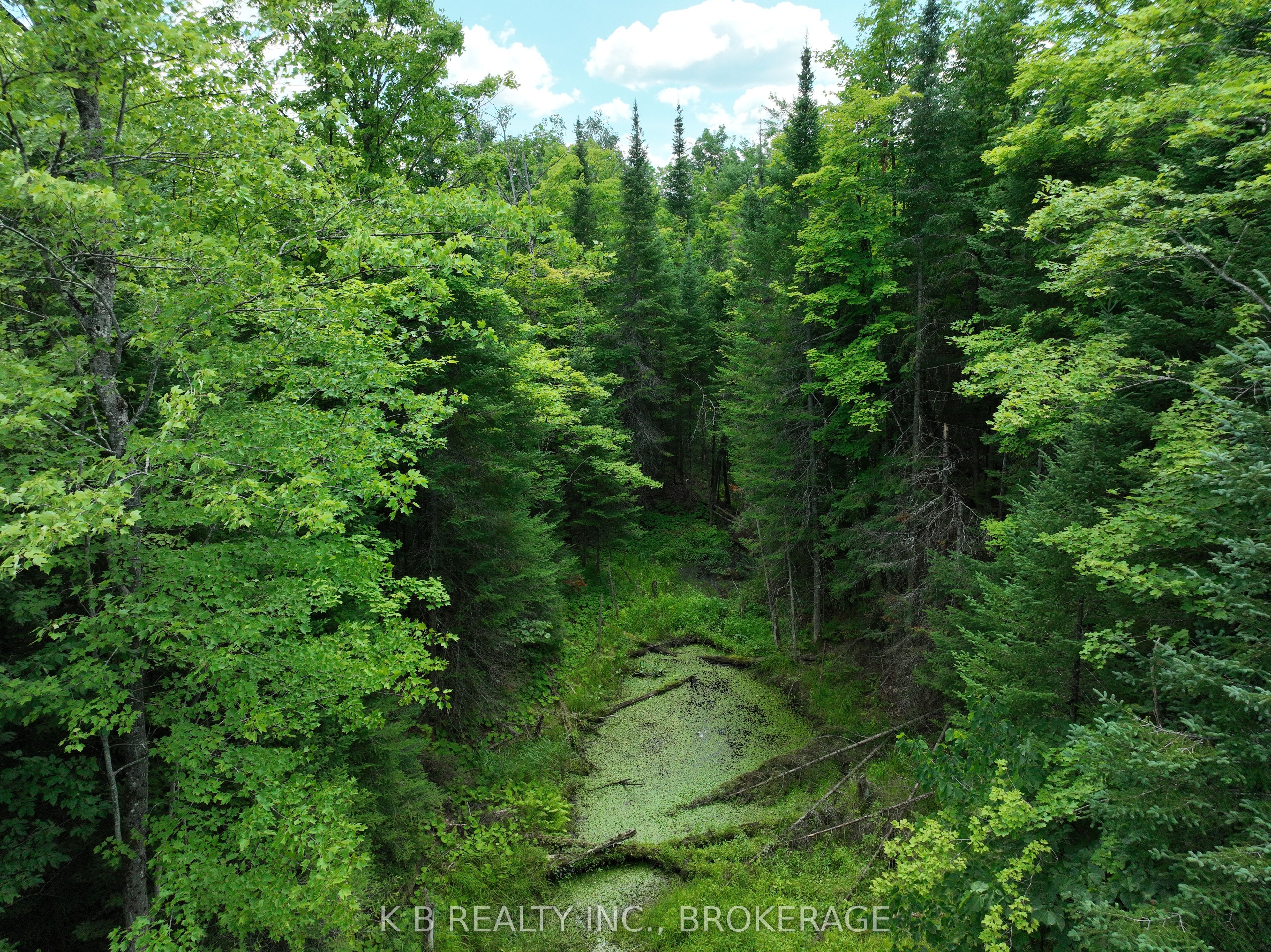 17887 62 Highway Property Photo 27