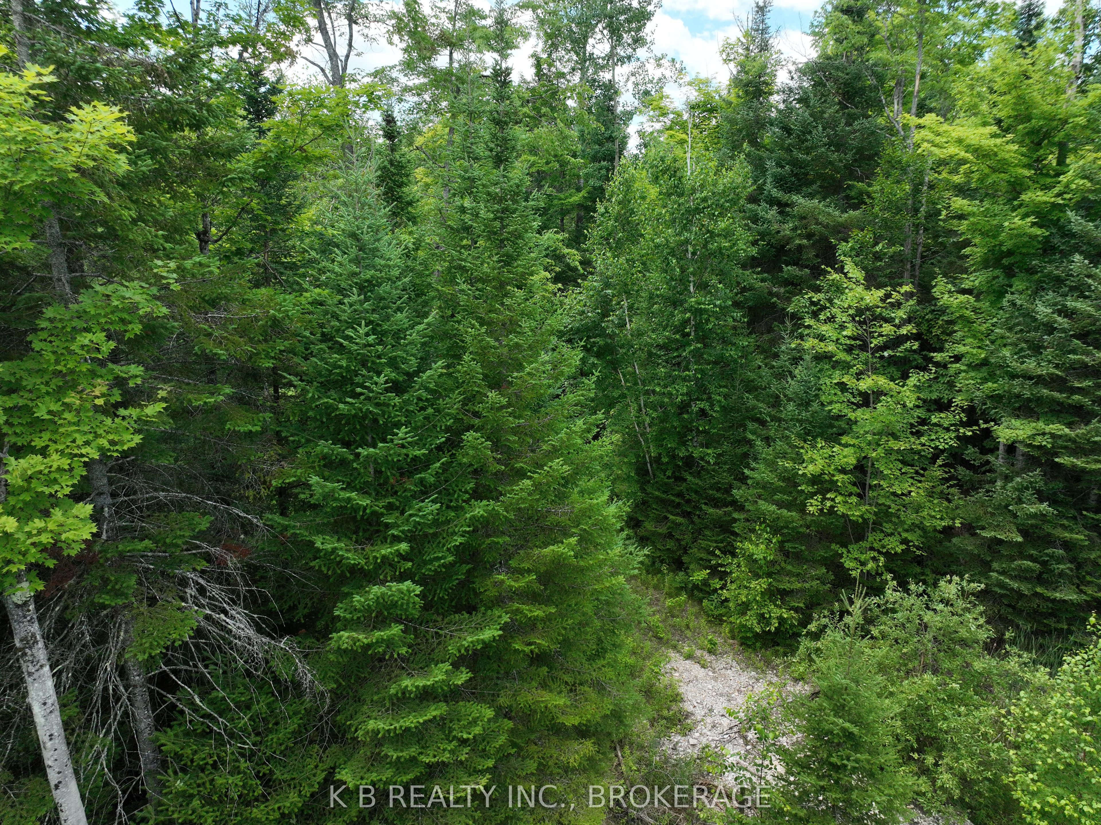 17887 62 Highway Property Photo 28