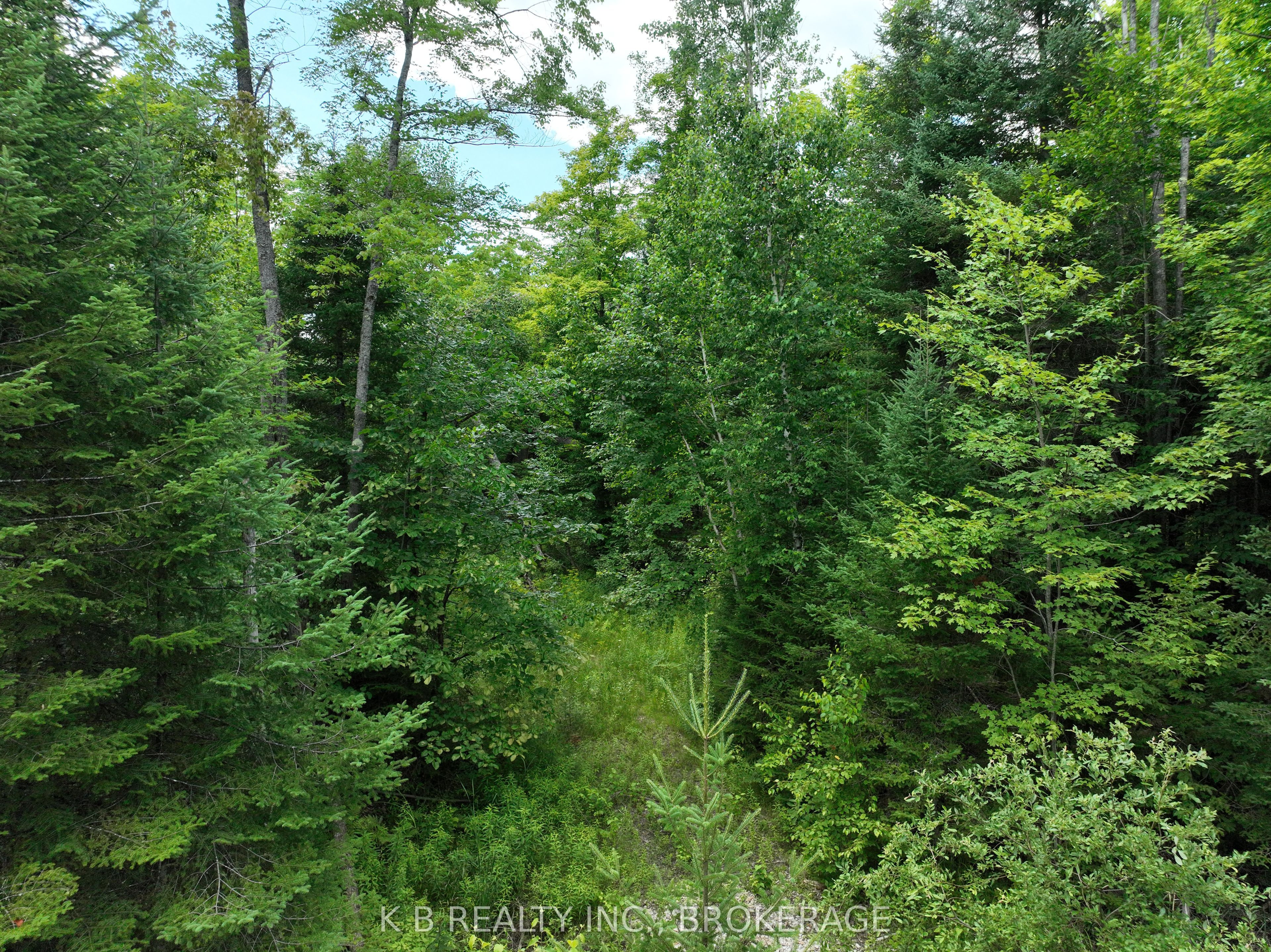17887 62 Highway Property Photo 30