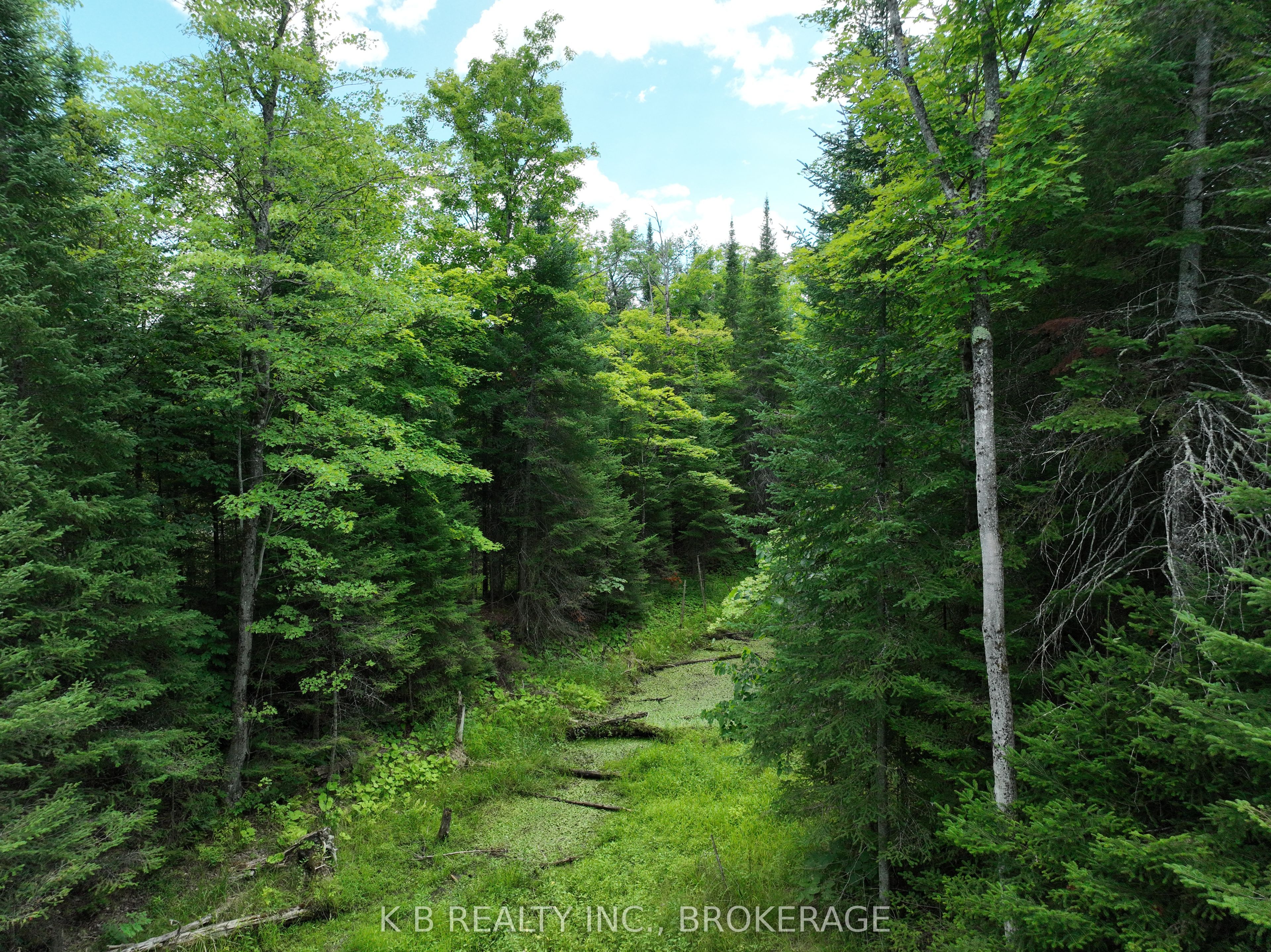 17887 62 Highway Property Photo 31