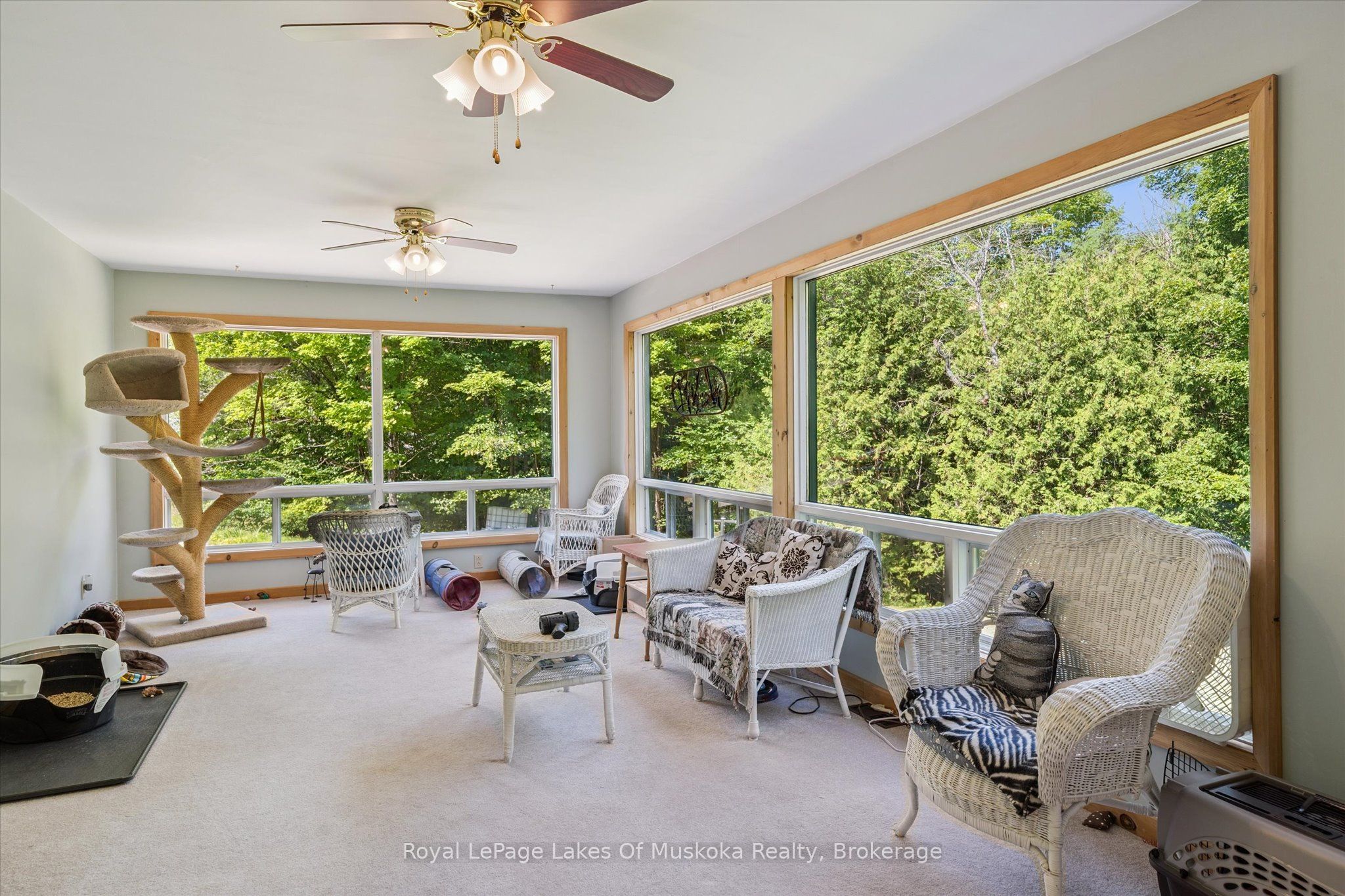 4159 Muskoka 117 Road Property Photo 15