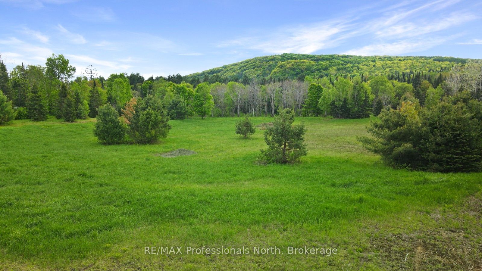0 Carroll Road Property Photo 5