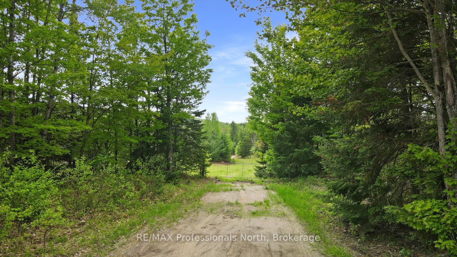 0 Carroll Road Property Photo 6