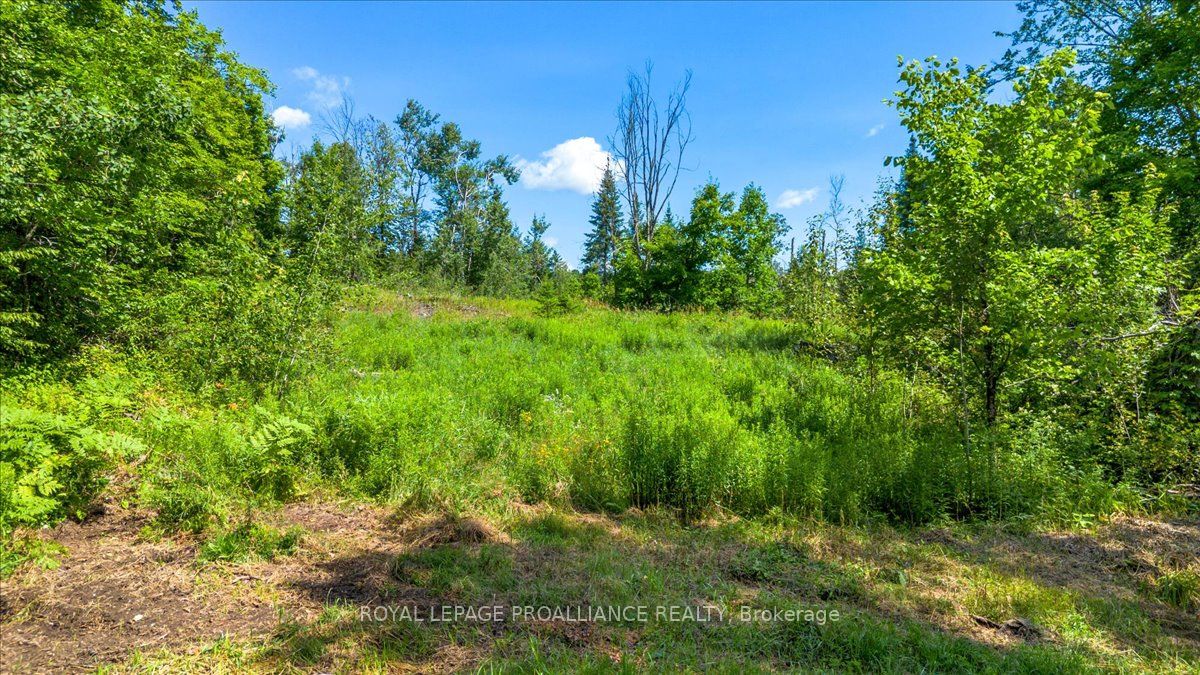168 Limerick Lake Rd Property Photo 1