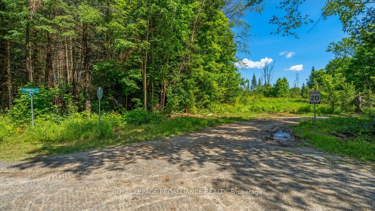 168 Limerick Lake Rd Property Photo 2