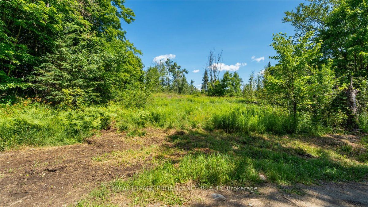 168 Limerick Lake Rd Property Photo 3