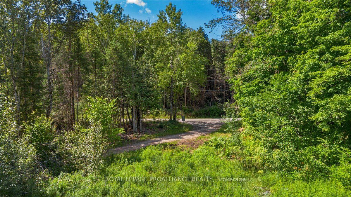168 Limerick Lake Rd Property Photo 4