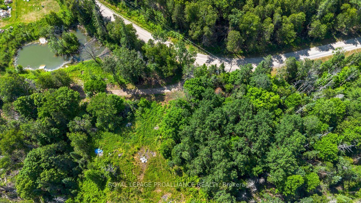 168 Limerick Lake Rd Property Photo 5