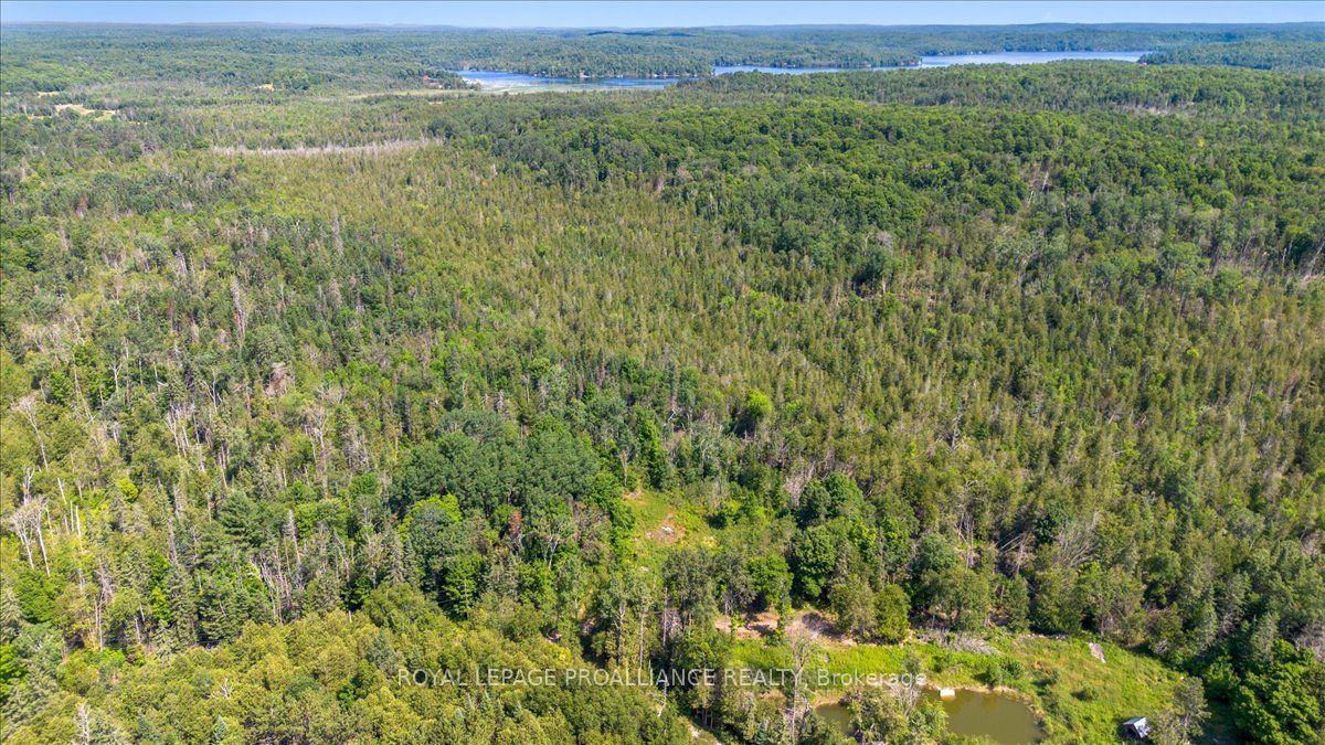 168 Limerick Lake Rd Property Photo 6