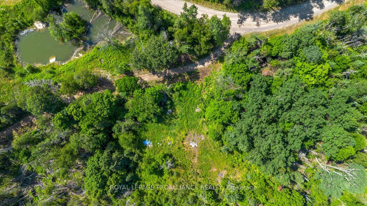 168 Limerick Lake Rd Property Photo 7