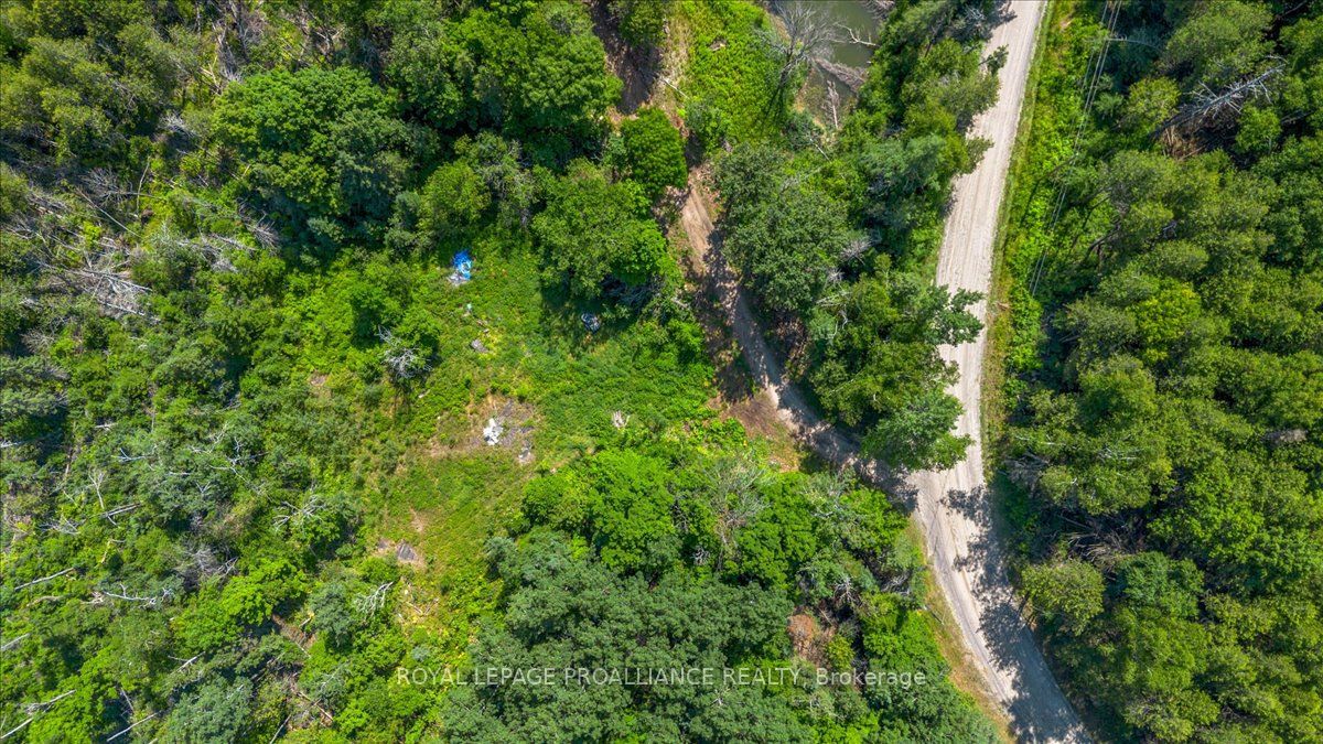 168 Limerick Lake Rd Property Photo 8