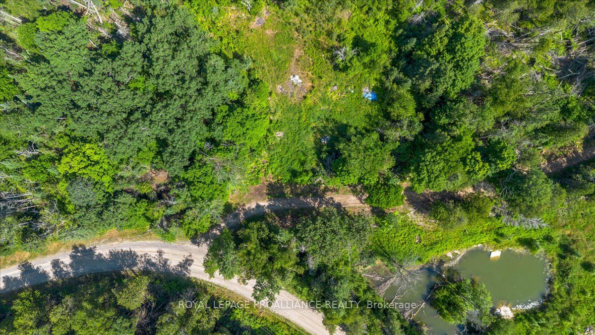 168 Limerick Lake Rd Property Photo 9