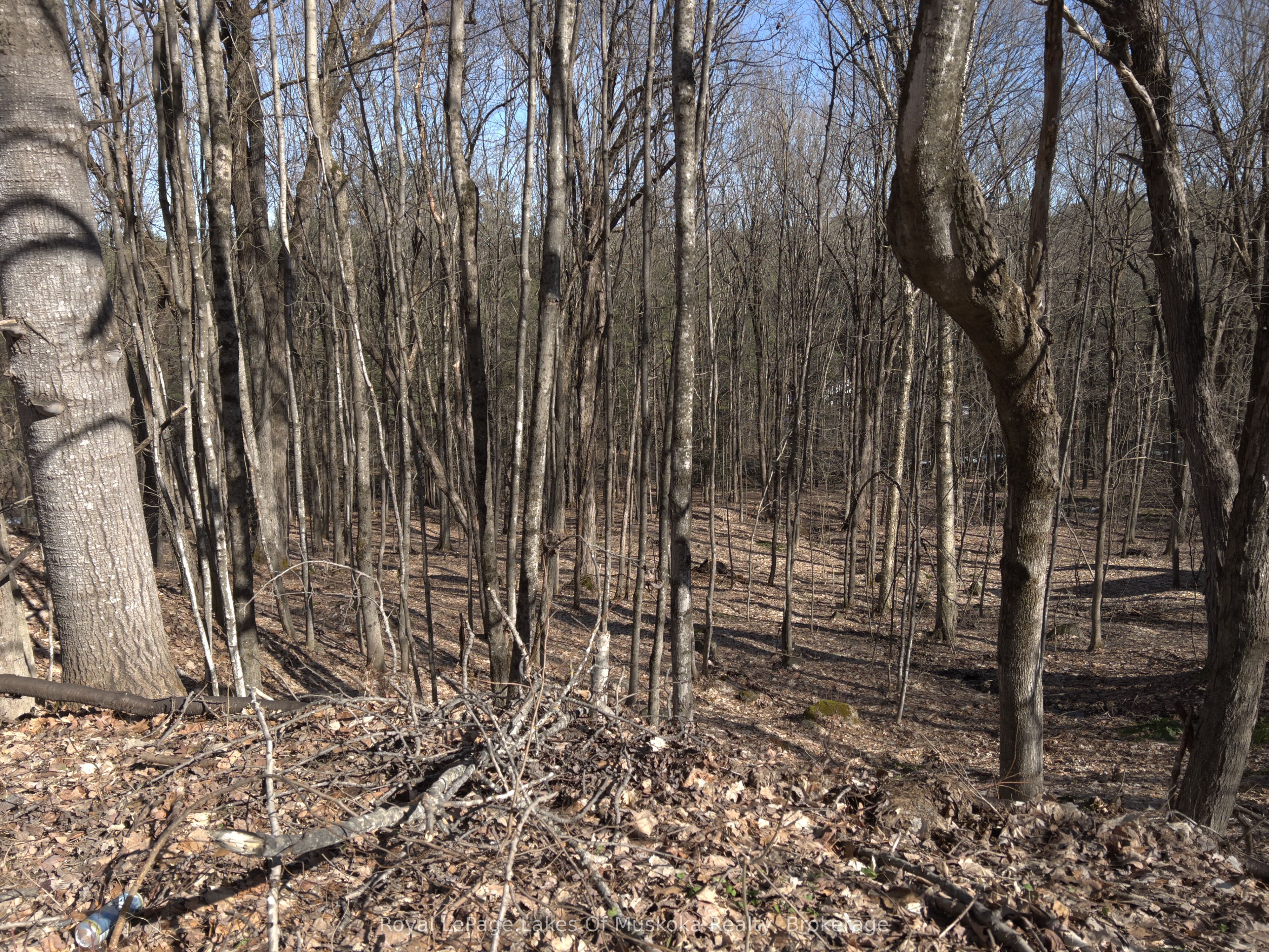 0 South Muskoka Drive Property Photo 1