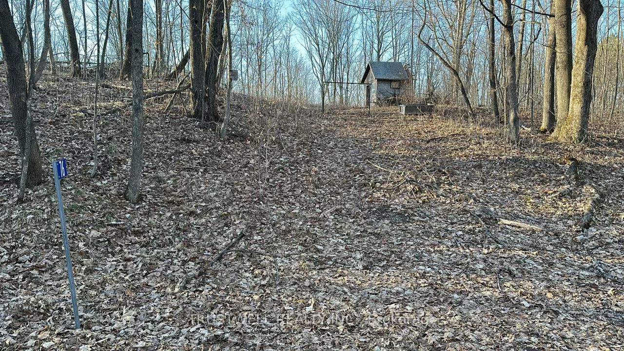 76 Black River Lane Property Photo 1