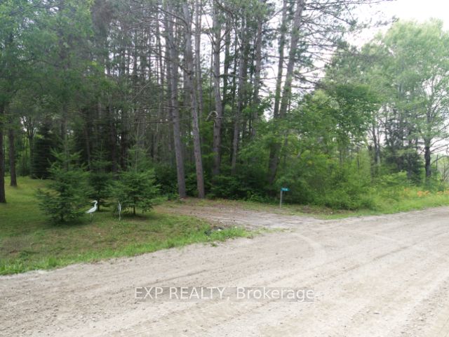 954 Rodeo Road Property Photo 2