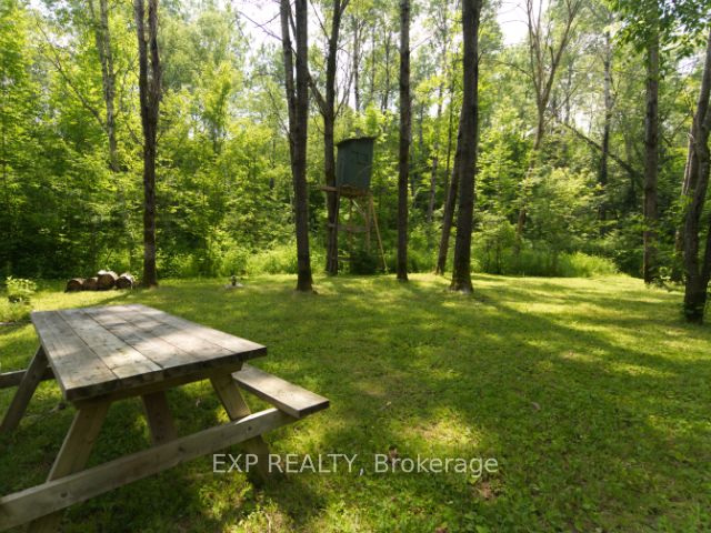 954 Rodeo Road Property Photo 7