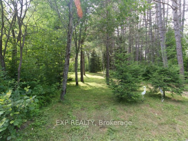 954 Rodeo Road Property Photo 8
