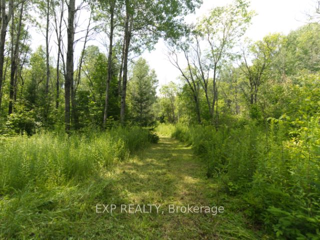 954 Rodeo Road Property Photo 10