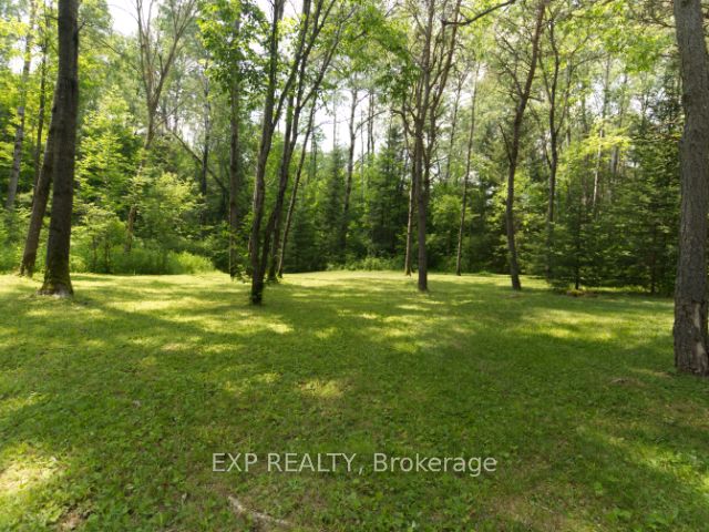 954 Rodeo Road Property Photo 14