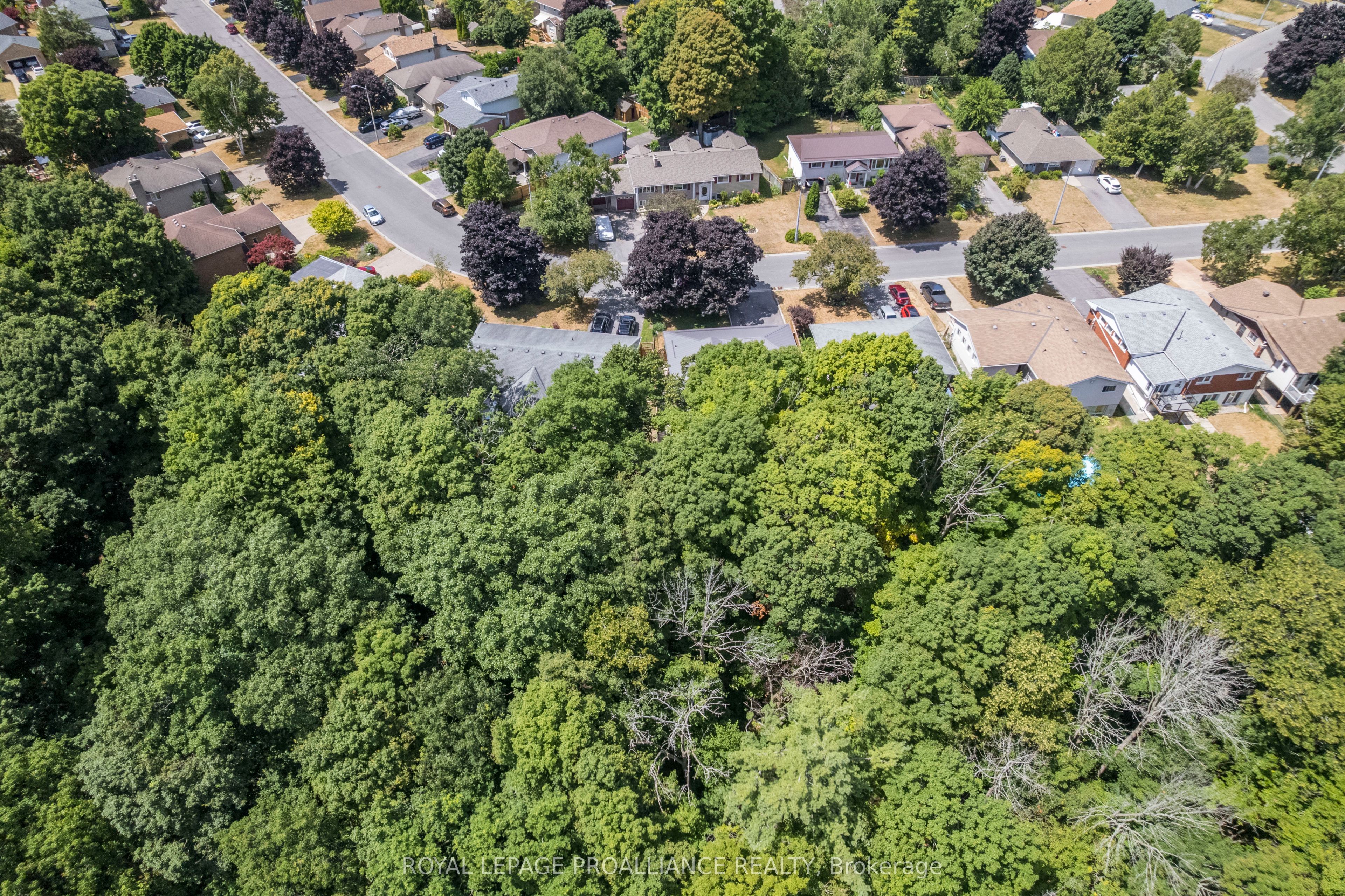 56 Parkview Heights Property Photo 7