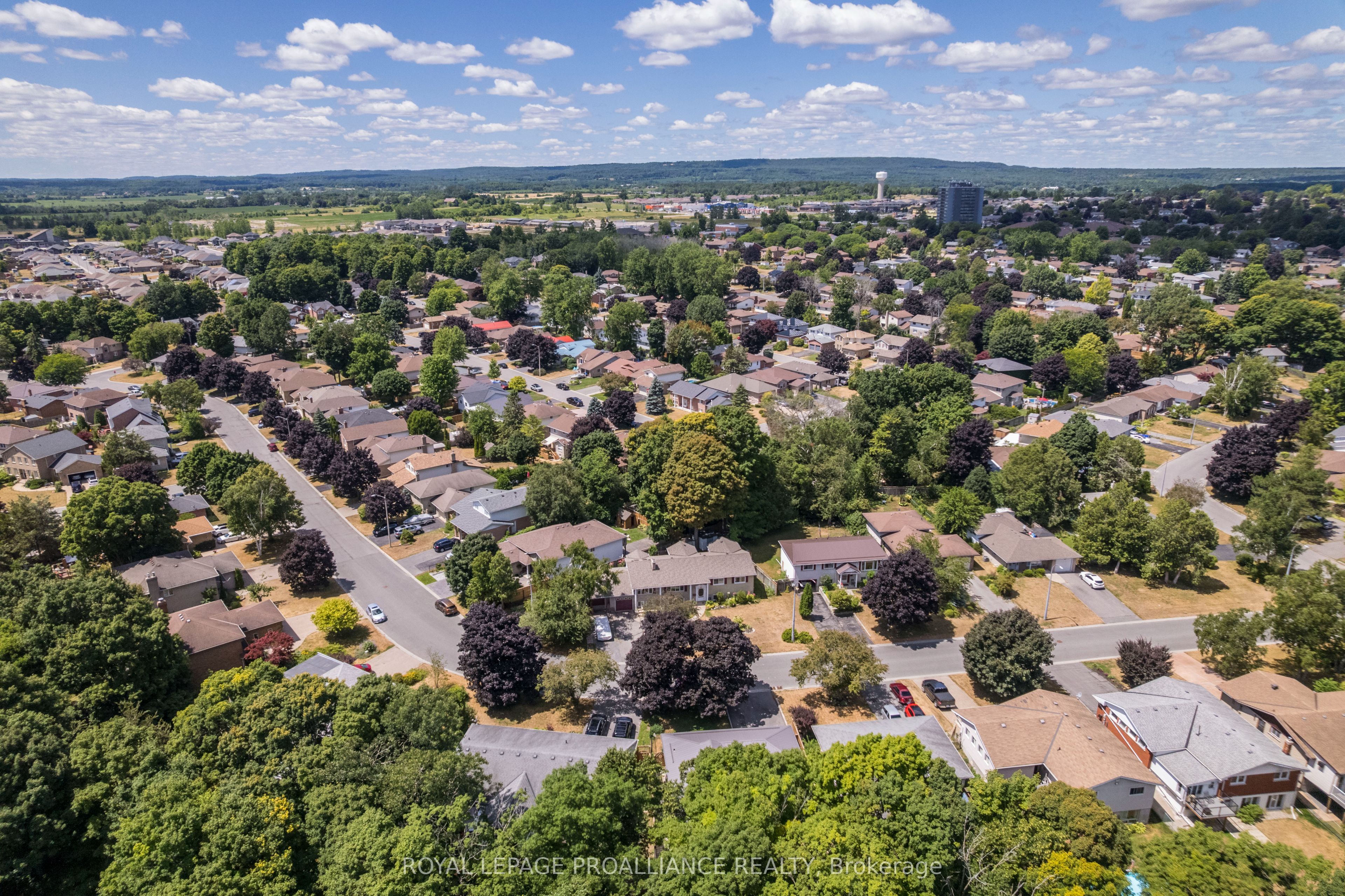 56 Parkview Heights Property Photo 8