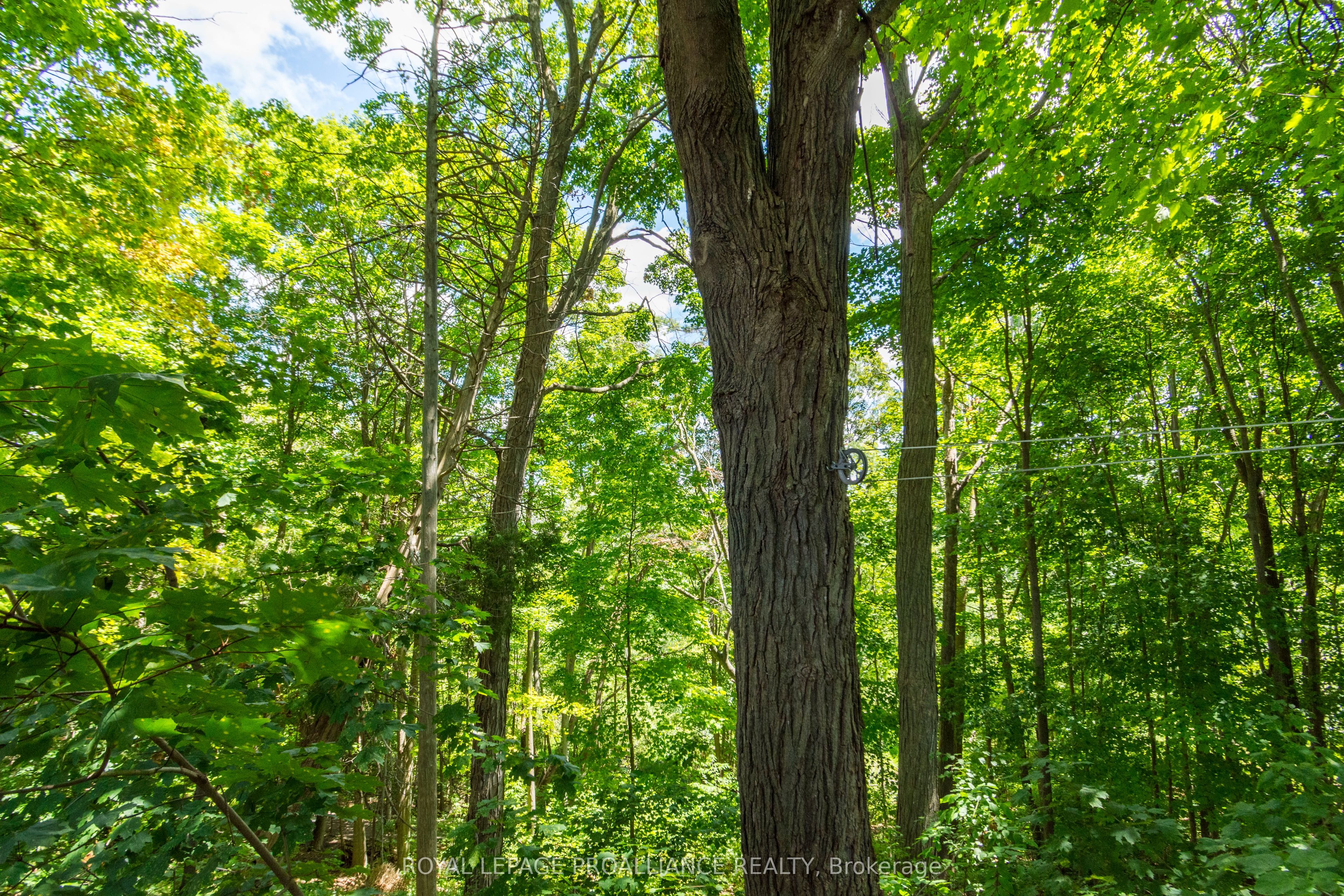 56 Parkview Heights Property Photo 41