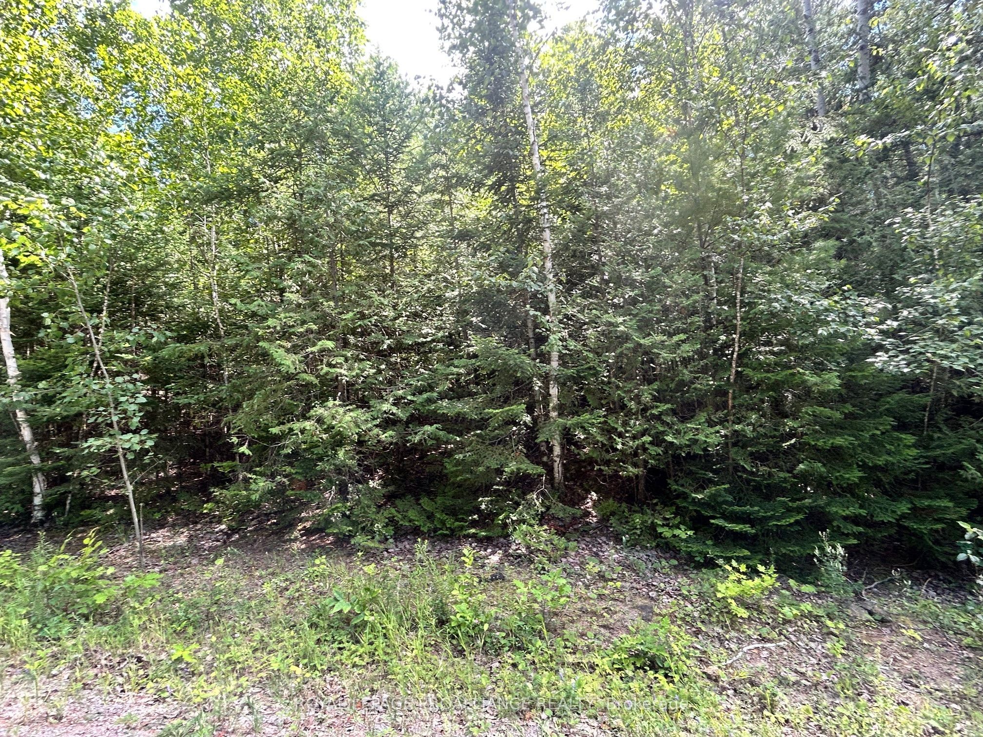 0 Trebbien Road Property Photo 2