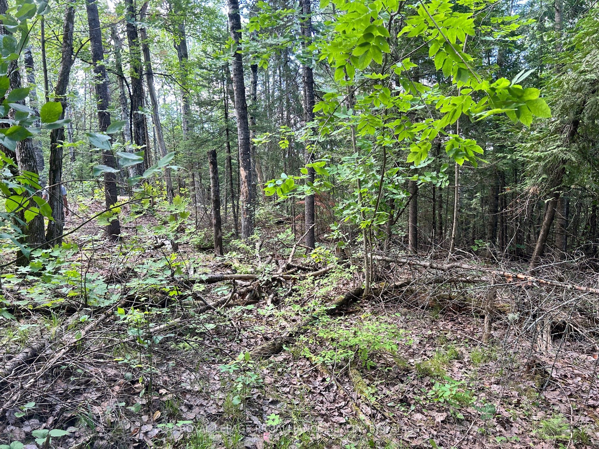 0 Trebbien Road Property Photo 4