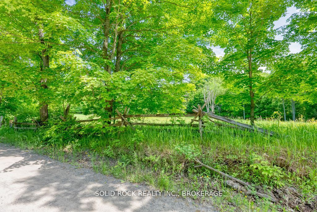 Lot 24 Lee Road Property Photo 1