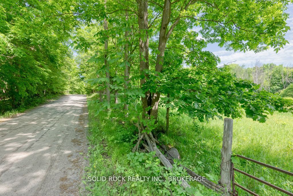 Lot 24 Lee Road Property Photo 5