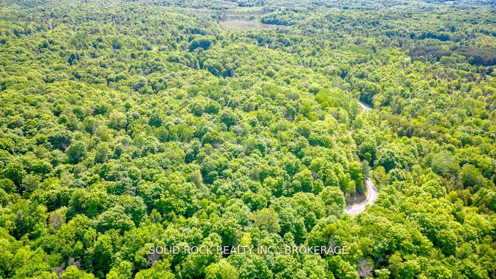 Lot 24 Lee Road Property Photo 9