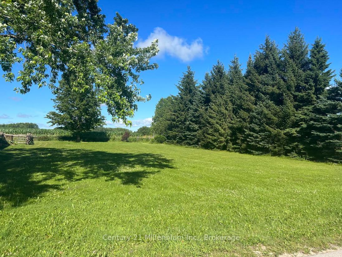 156360 7th Line Property Photo 2