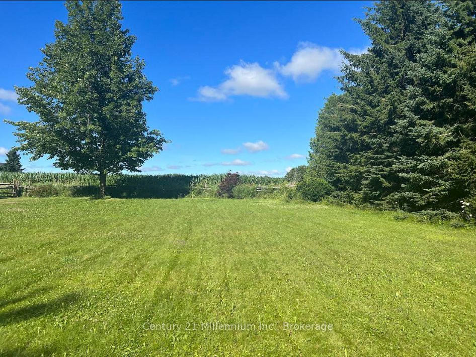 156360 7th Line Property Photo 4